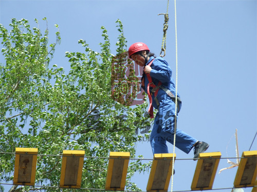 解剖團(tuán)隊凝聚力拓展訓(xùn)練的發(fā)展